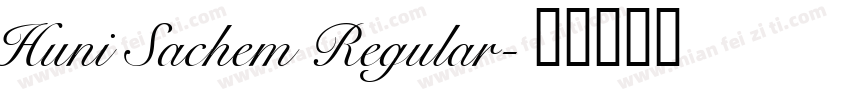 Huni Sachem Regular字体转换